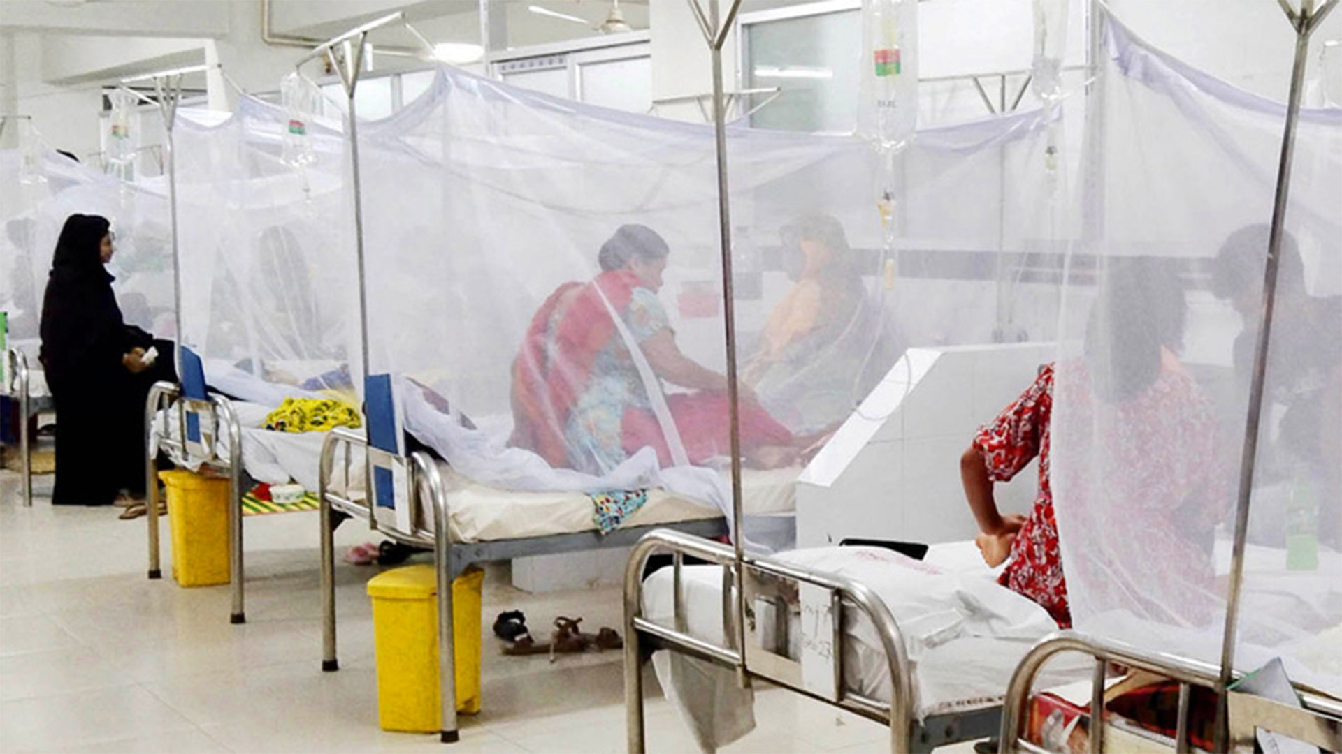 ডেঙ্গুতে ২৪ ঘণ্টায় আরও ৩ জনের মৃত্যু